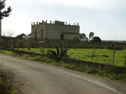 Montesano Salentino 3